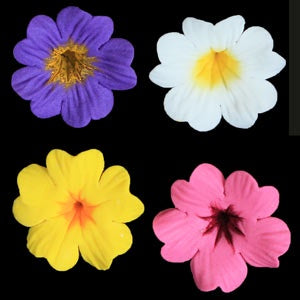 Primula Flower - Assorted Colors - Gumpaste - 1.25"