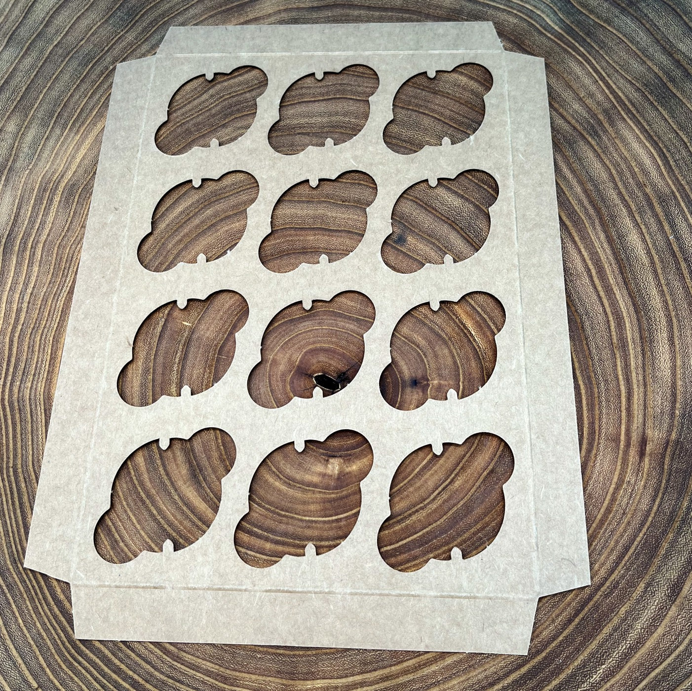 12 Count Mini Cupcake Insert For 10x7 Box