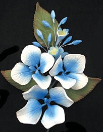 Lace Cap Hydrangea - Blue Spray