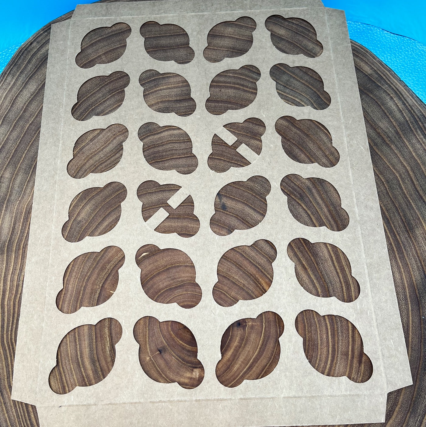 24 Count Mini Cupcake Insert