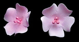 Fruit Blossom Pink