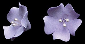 Fruit Blossom Lavender