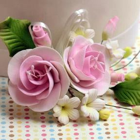 Dog Rose Spray - Pink