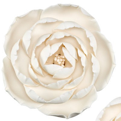 Gumpaste Peony White Large