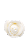 Rose - 7/8" Mini - Royal Icing - White