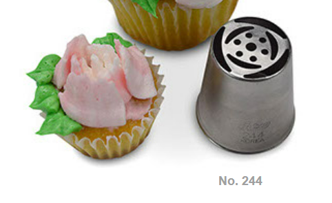 Russian Tip - Tulip Bloom - 244