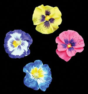 Pansy Petite - Assorted Colors - Gumpaste 1.5"