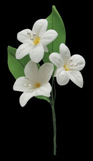 Gumpaste Flower Filler Spray - Yellow w/ pearls