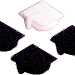Grad Caps - Sugar - 6 Pieces - White