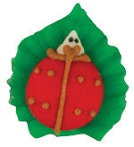 Lady Bug on Leaf - Royal Icing