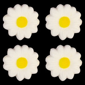 Daisy - White - 1 3/4" Sugar