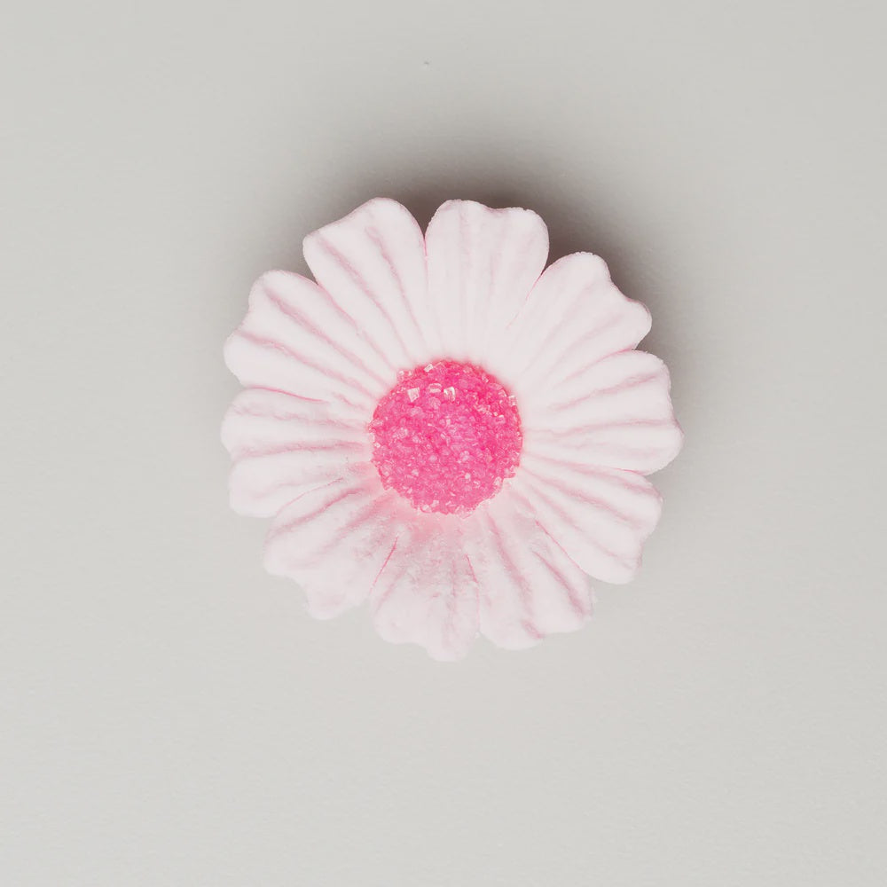 Pink Daisy - 1.75 Inches