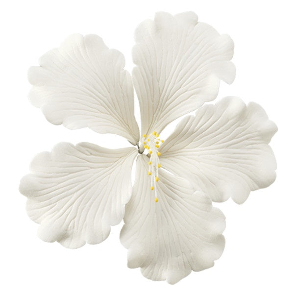 Gumpaste White Hibiscus