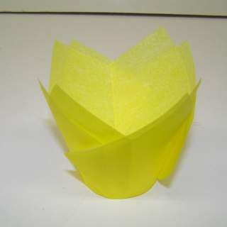 Yellow Tulip Cups Cupcake Liners - 24 Tulip Cups