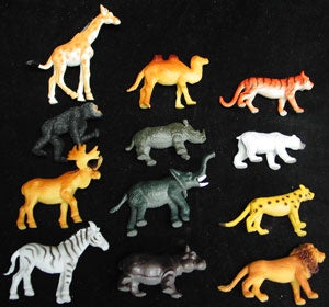 Small Jungle Animals