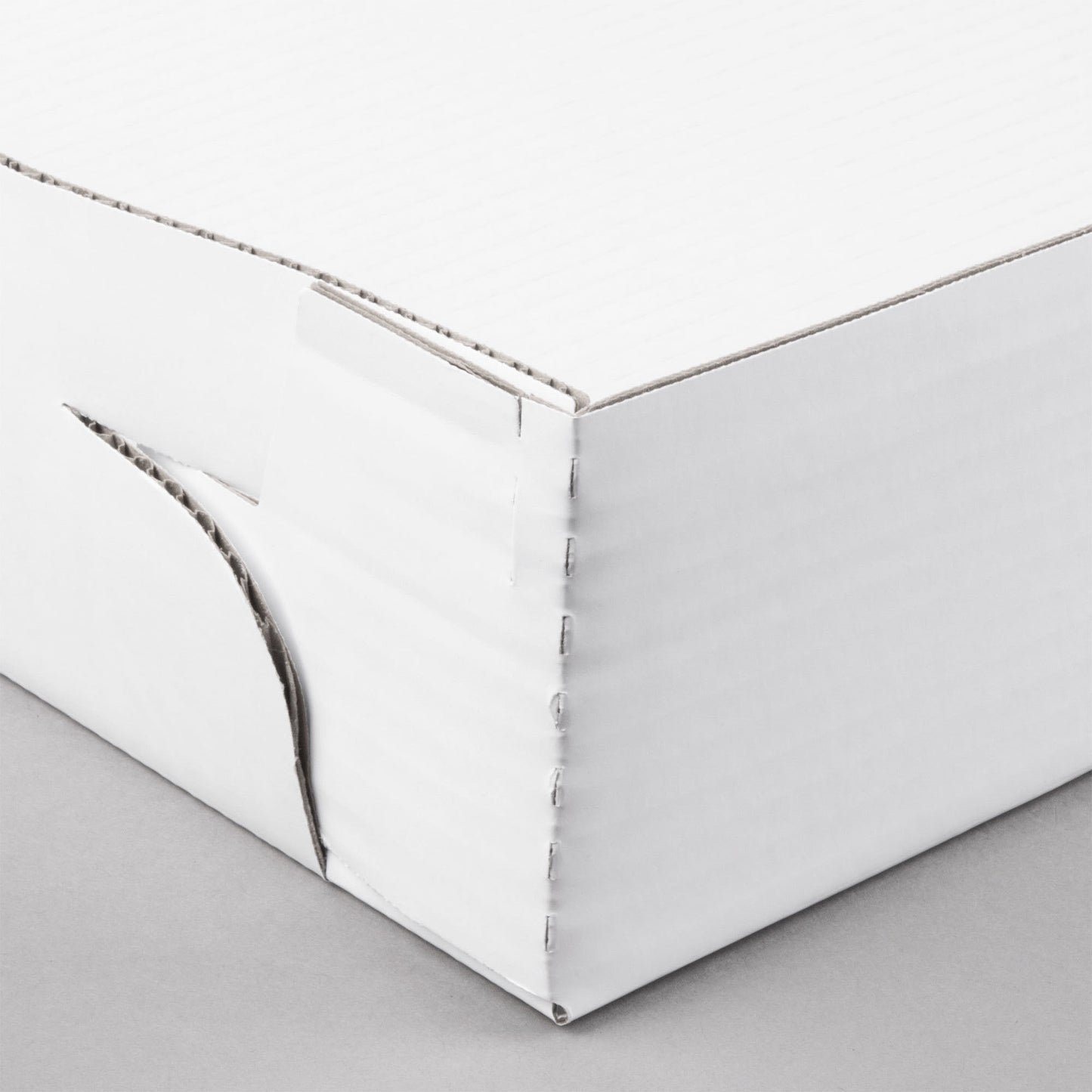 Large Corrugated Tray