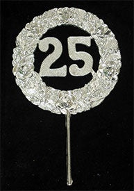 25th Anniversary Pick - Silver - Medium 2.5"
