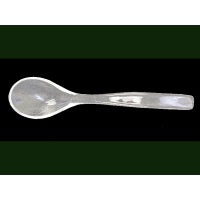 Condiment Spoon