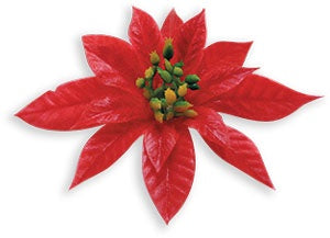 Large Vinyl Poinsettia with Stem