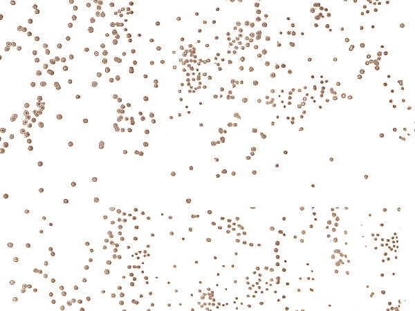 5x3x11 Cellophane Bags - Sprinkles Gold - 10 Bags