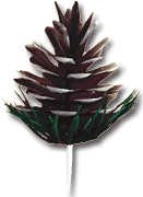 Pinecone Pick