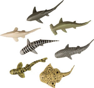 Shark - Assorted - 1 Piece