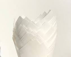 White Tulip Cups Cupcake Liners - 24 Tulip Cups