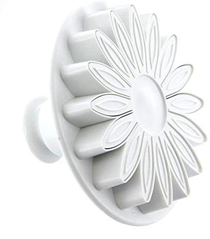 Veined Sunflower Gerbera & Daisy