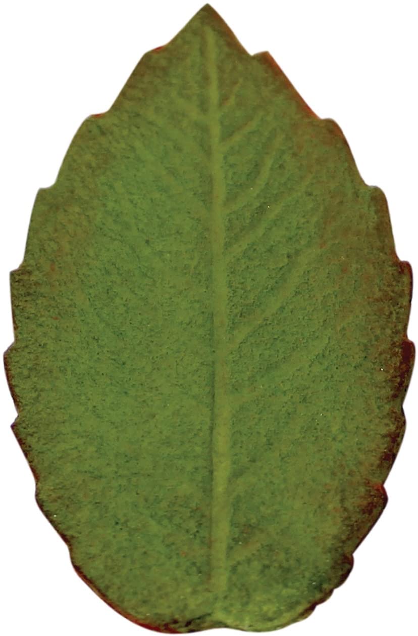 Veined Rose Leaf Plunger Cutter