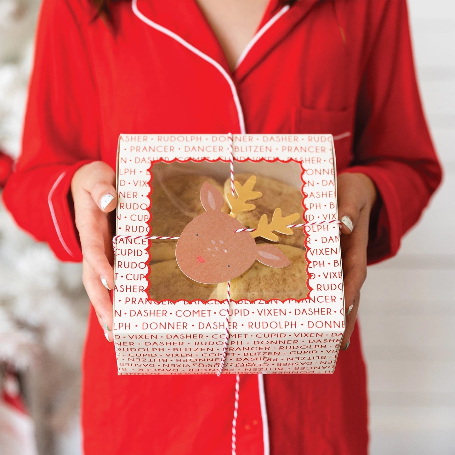 Rudolph Christmas Cookie/Treat Box