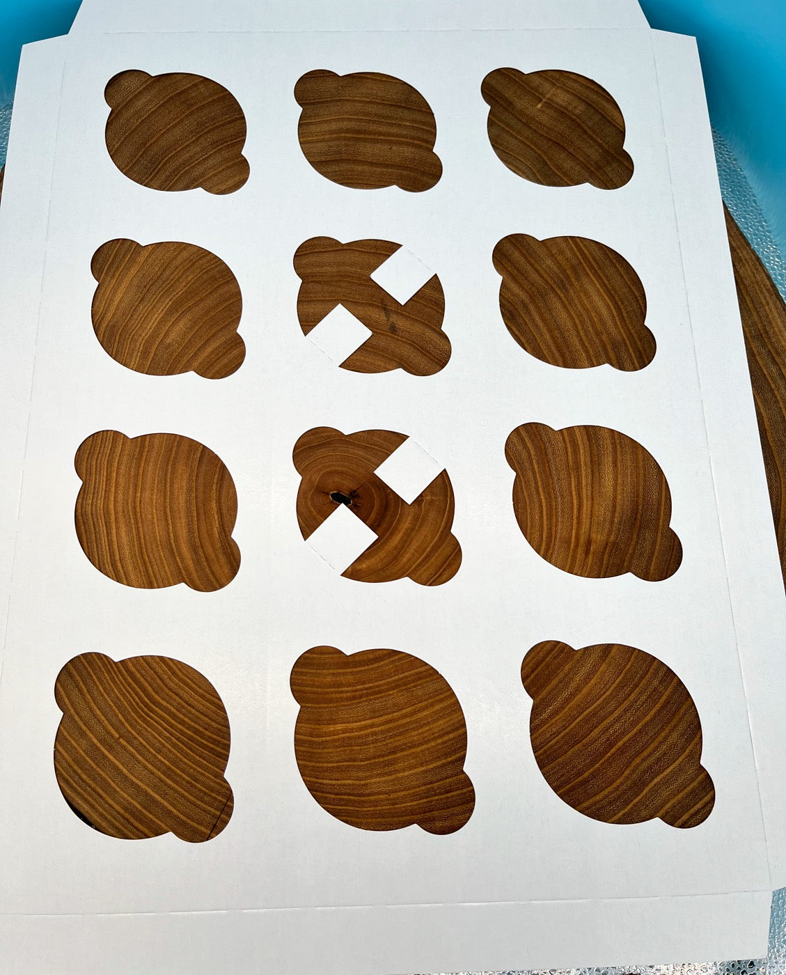 12 Count Jumbo Cupcake Insert