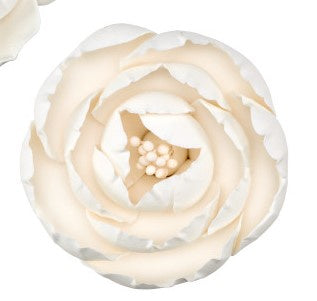 Gumpaste Peony White - med