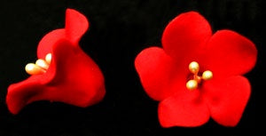 Fruit Blossom - Red