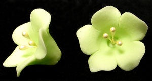 Fruit Blossom Light Green