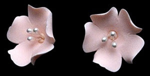 Fruit Blossom Peach
