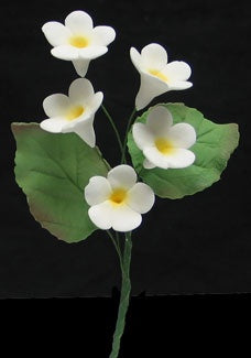 Gumpaste Filler Spray (5 blossom)