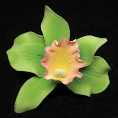 Cattleya Orchid - LIght Green- Large