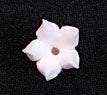 Bouvardia - Small - White - 5/8"