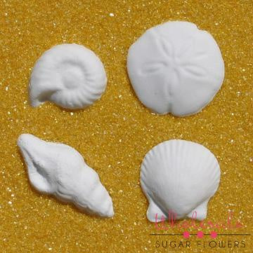 Assorted Shells - Gumpaste - 6 Pieces