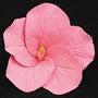 Royal Icing Hibiscus - Medium  - Pink
