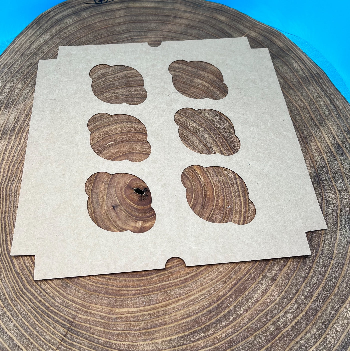 6 Count Standard Cupcake Insert For 10x10 Box