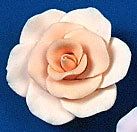 RR Rose- XL - Peach (non wired)