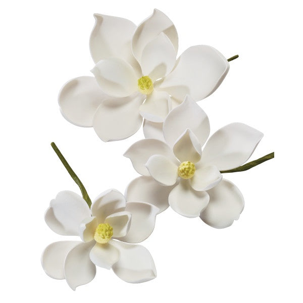 Gumpaste Magnolia Medium