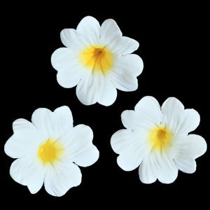 Primula - White - Gumpaste 1.25"
