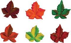 Autumn Leaf Mini - Royal Icing - 12 Pieces