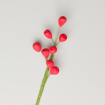 Red Berries Filler