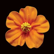 Royal Icing Hibiscus - Small - Orange
