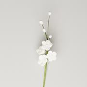 Forget-me-not Filler - White  2 1/2"