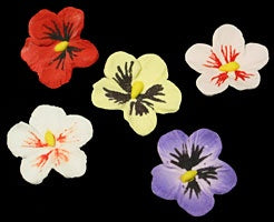 Pansy Petite - Mixed - Gumpaste 1"
