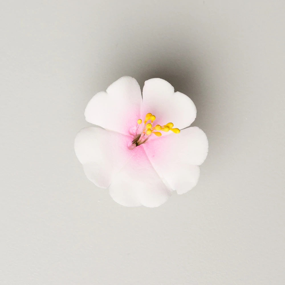 Single Cherry Blossom with wire- White with Pink Center
